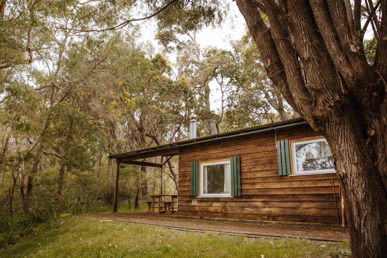 Gum Grove Chalets Денмарк Екстер'єр фото